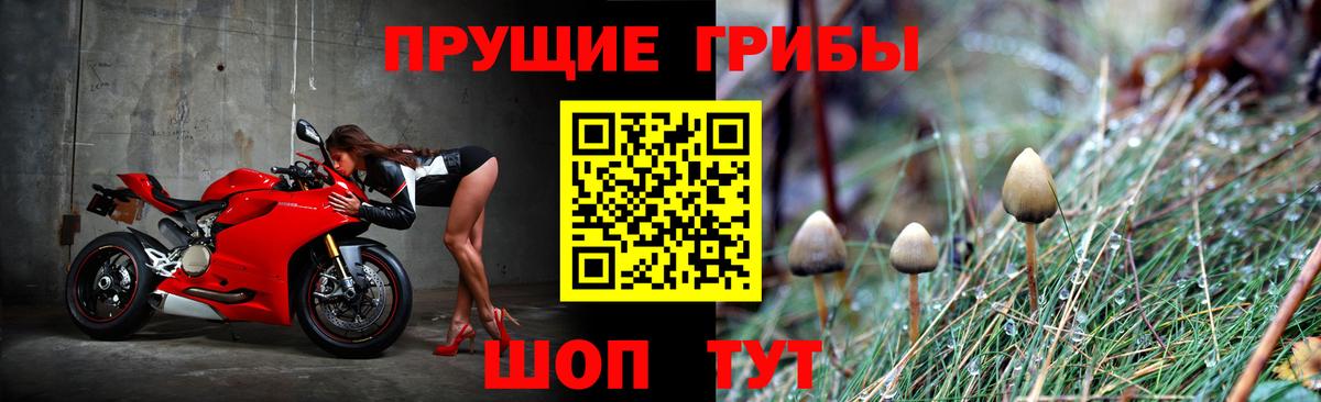 Псилоцибиновые грибы MAGIC MUSHROOMS  Псилоцибиновые грибы ЛСД  Феодосия  Вход с VPN 